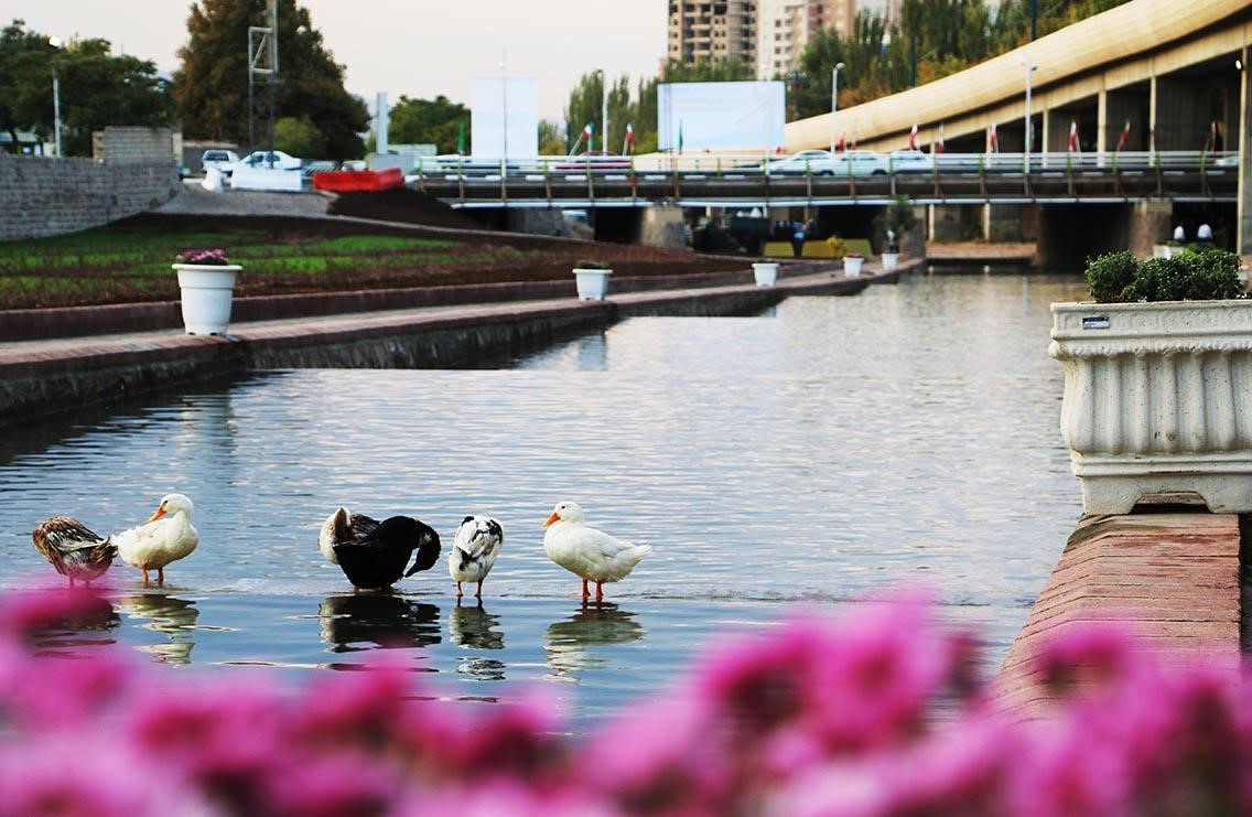 روخانه مهران رود - میدان چای تبریز