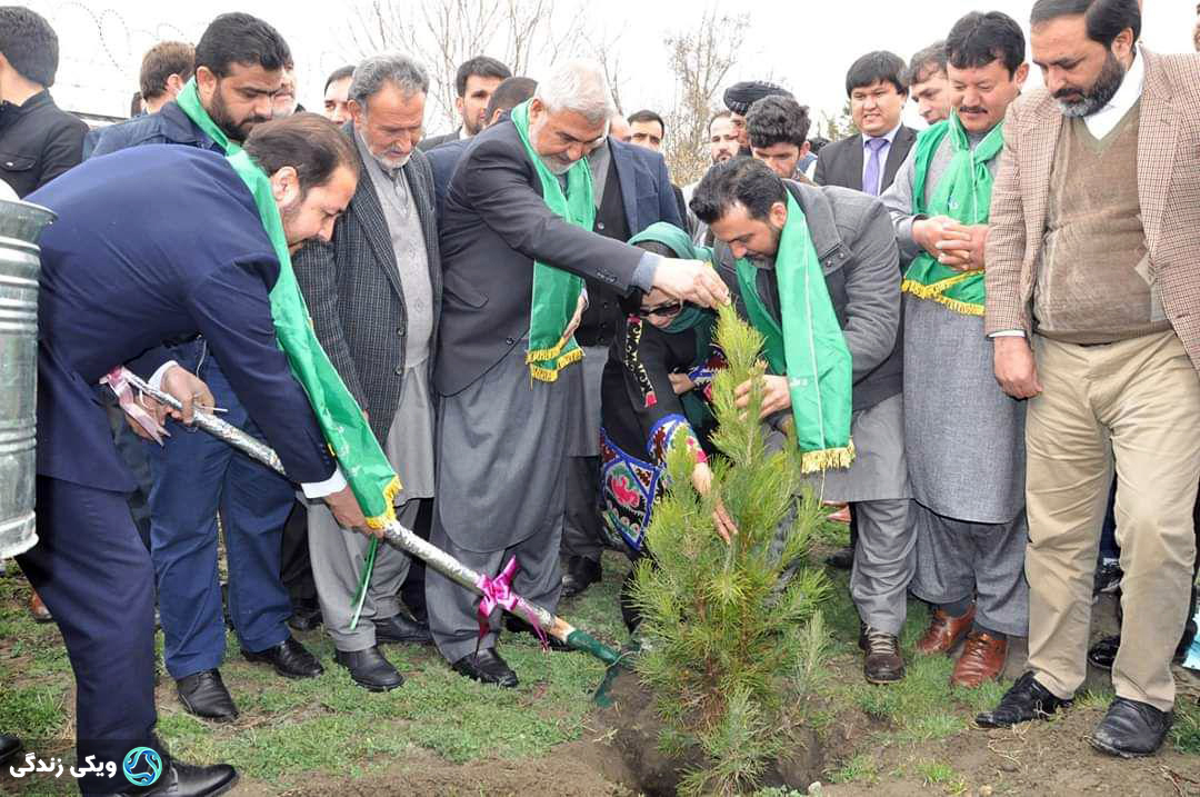 کمپین ملی نهالشانی