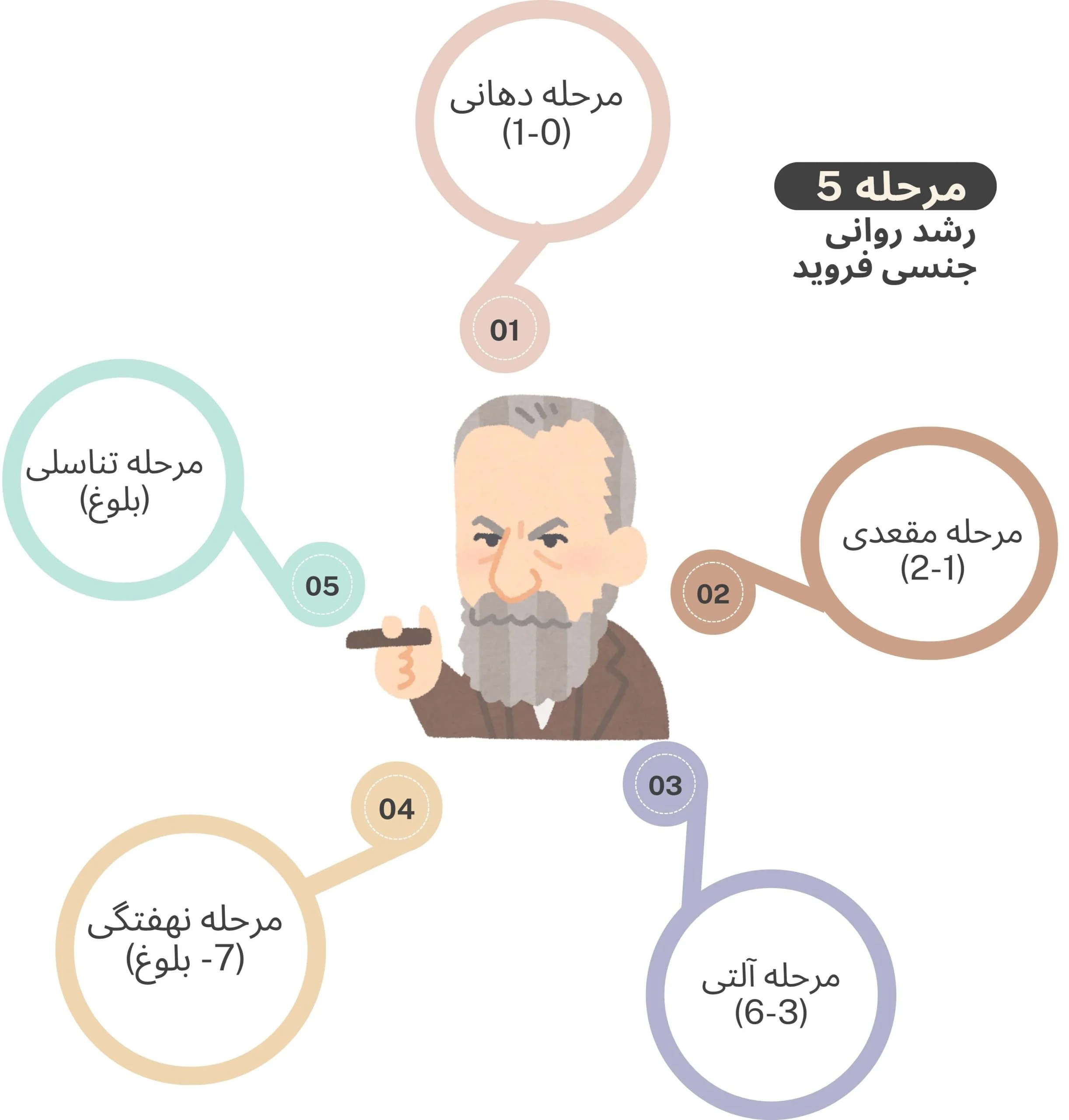 مراحل رشد روانی جنسی فروید