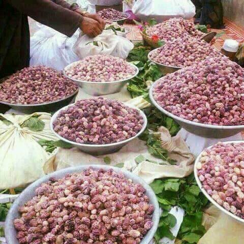 جشن میله توت در پنجشیر