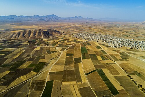 مزارع کشاورزی تربت حیدریه