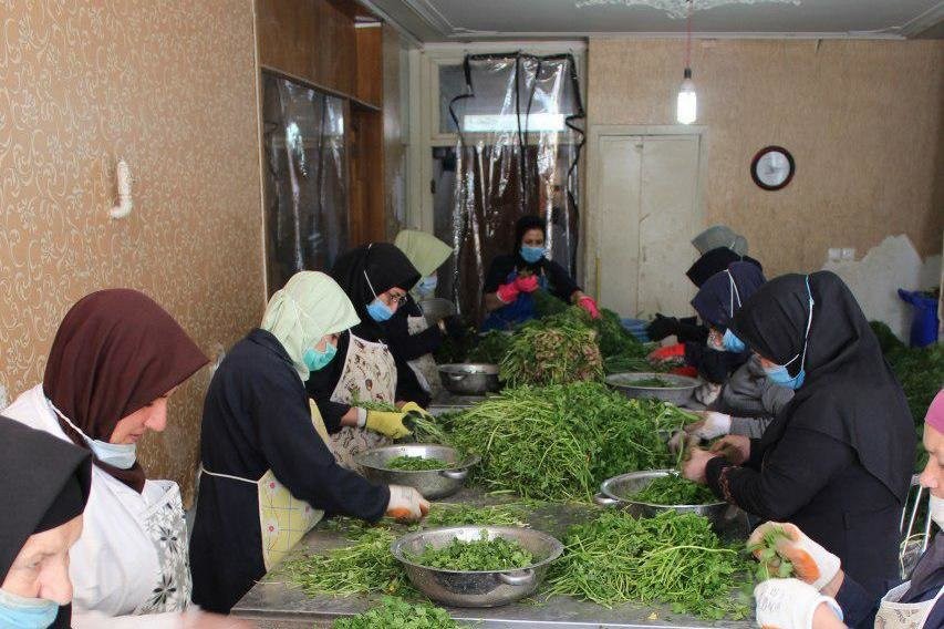 راه‌اندازی مشاغل خانگی؛ زنان سرپرست خانوار در حال پاک کردن سبزی