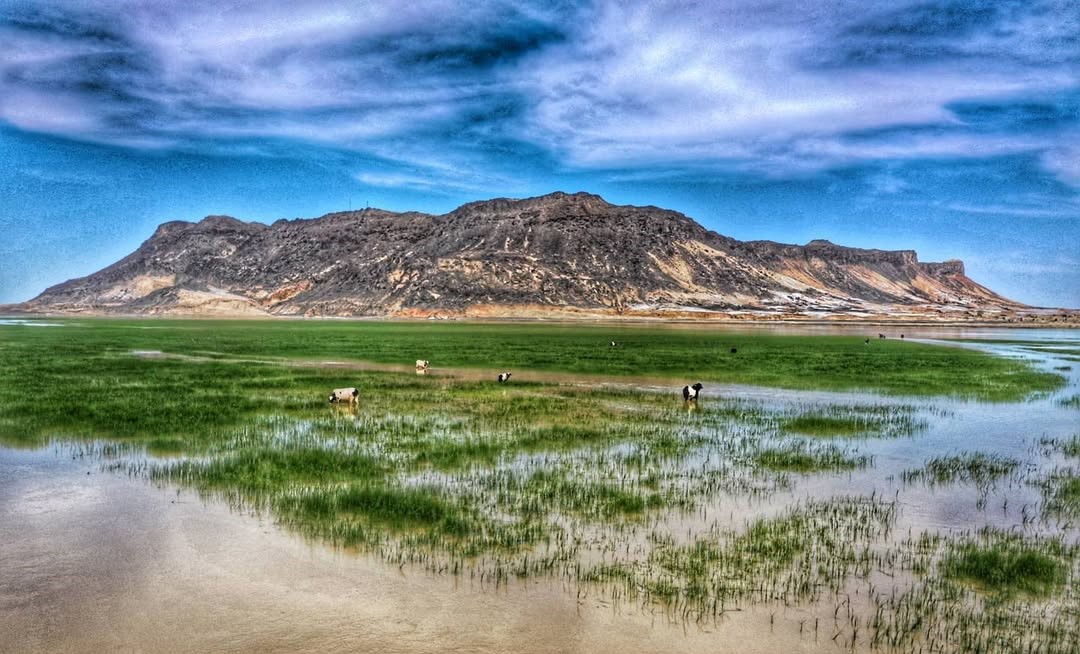 تالاب هامون زابل