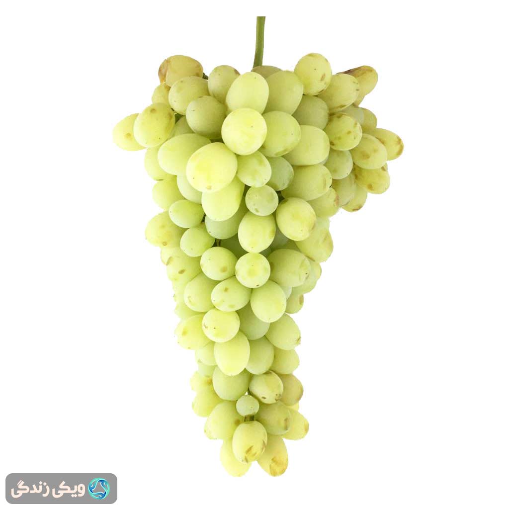 انگور زرد