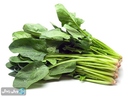 گیاه اسفناج