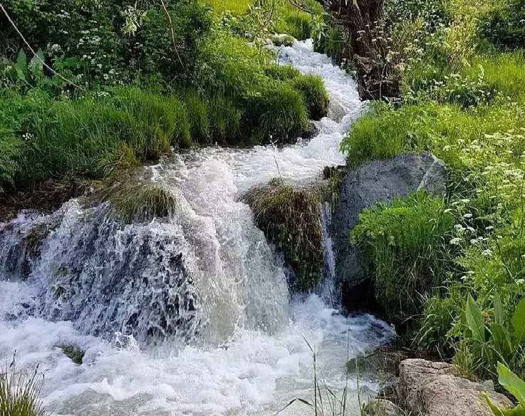 چهل چشمه کردستان