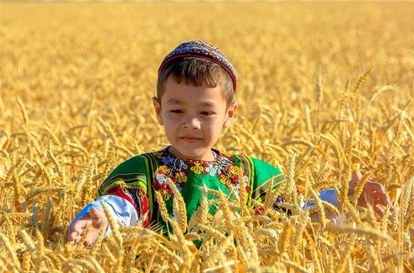 کشاورزی در ترکمن