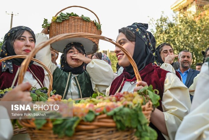 بیست و هشتمین جشنواره انگور در خیابان ملی انگور در تاکستان استان قزوین