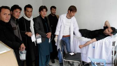 جوانان عزادار در ولایت هرات در صف اهدای خون