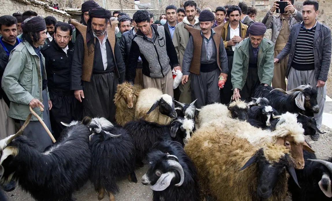 ذبح گوسفند در مراسم پیرالیار