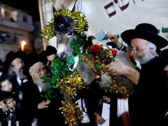 عید برکت، آیین تبرک جستن یهودیان به خر