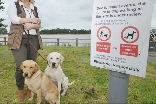 قوانین نگه‌داری حیوانات خانگی