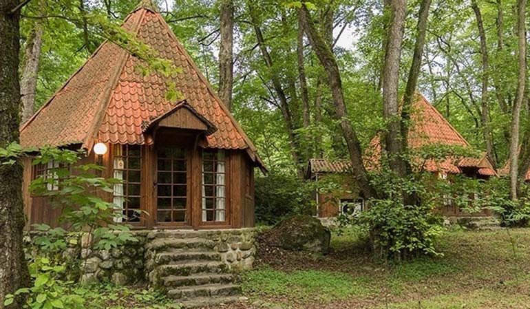 جنگل خشکه داران تنکابن