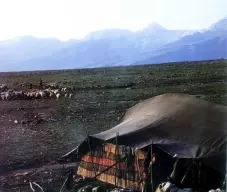 جایگاه قرارگیری چیغ به‌عنوان دیواره در سیاه‌چادر عشایر ترکاشوند