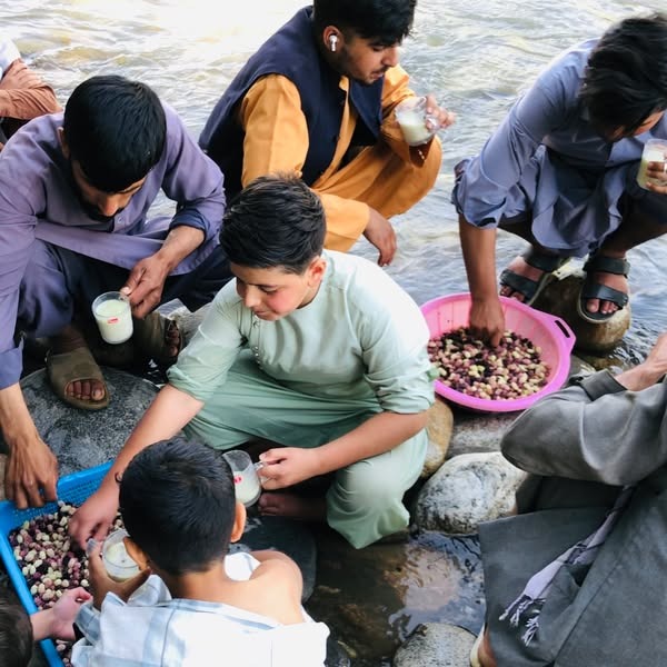 خوردن توت به همراه دوغ