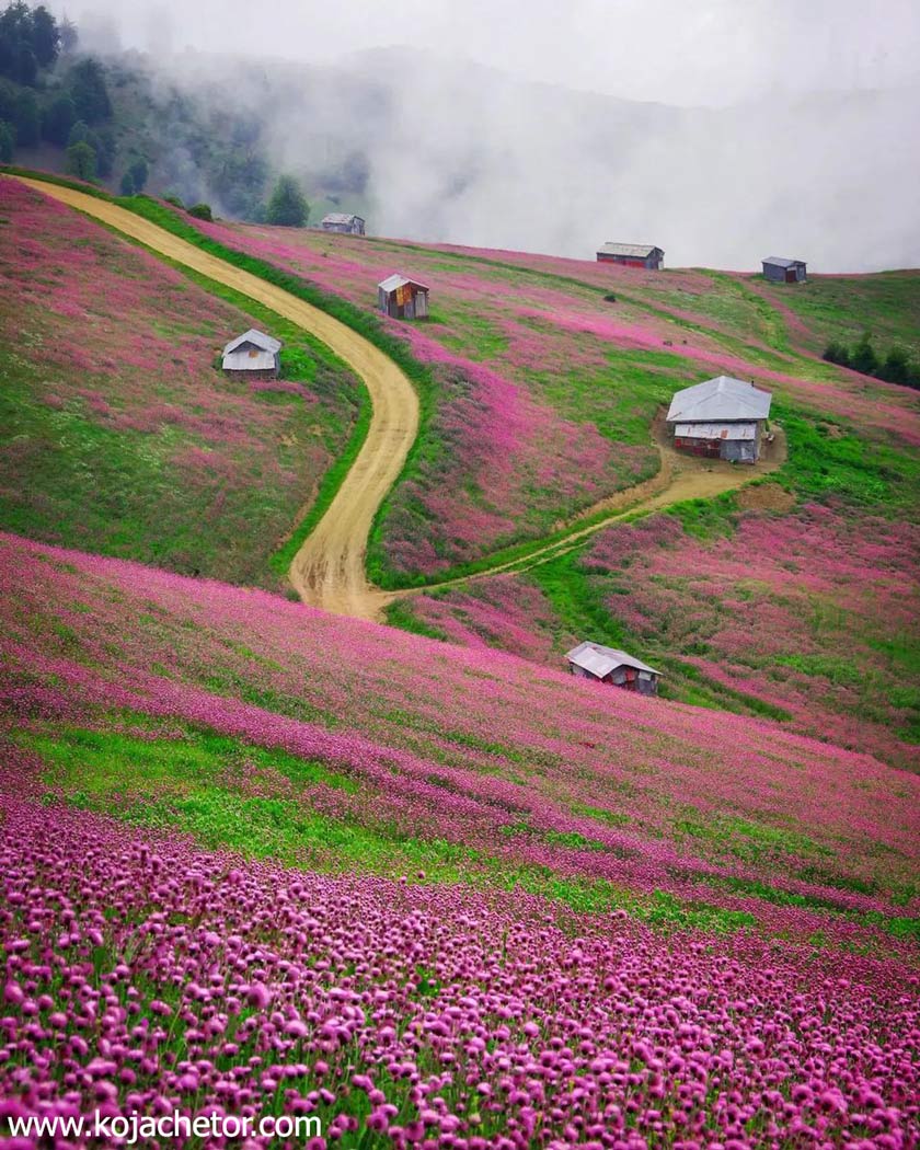 ییلاق سلانسر در بهار در ارتفاعات شهر رودبار