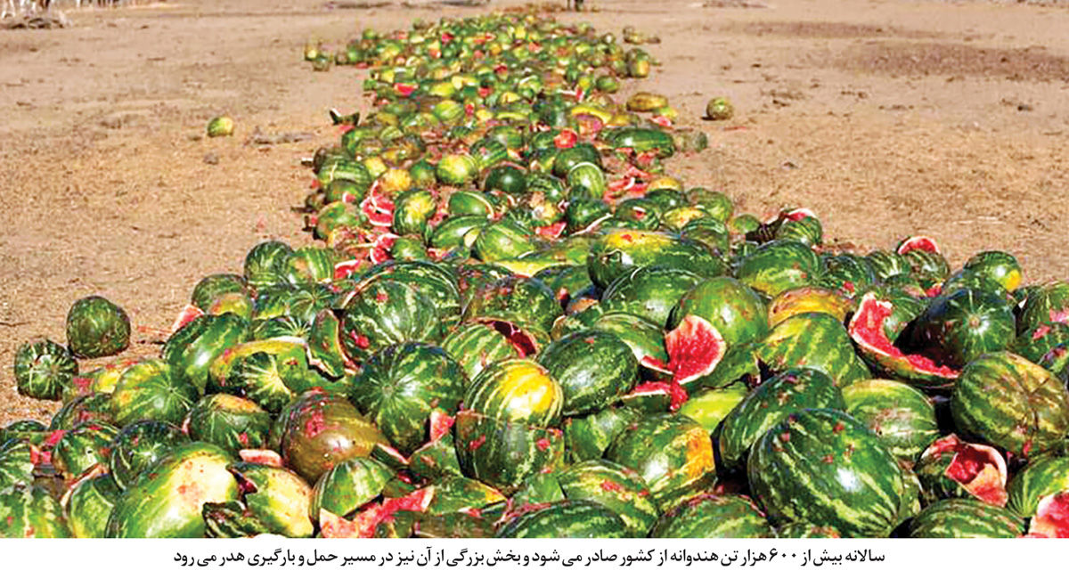 نابودسازی انبوه هندوانه در استان خوزستان