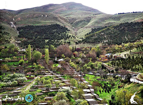 پارک جنگلی آبیدر