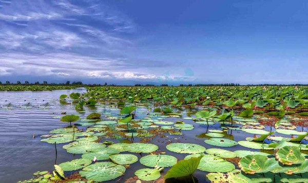 تالاب آلماگل