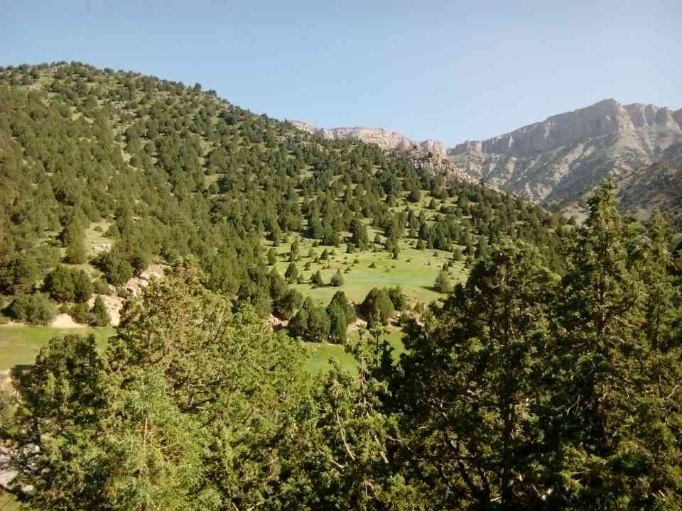 کوه‌های هزار مسجد